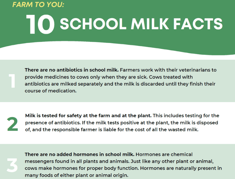 school-milk-new-england-dairy