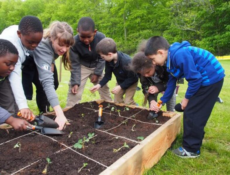 Students Planting Garden Together