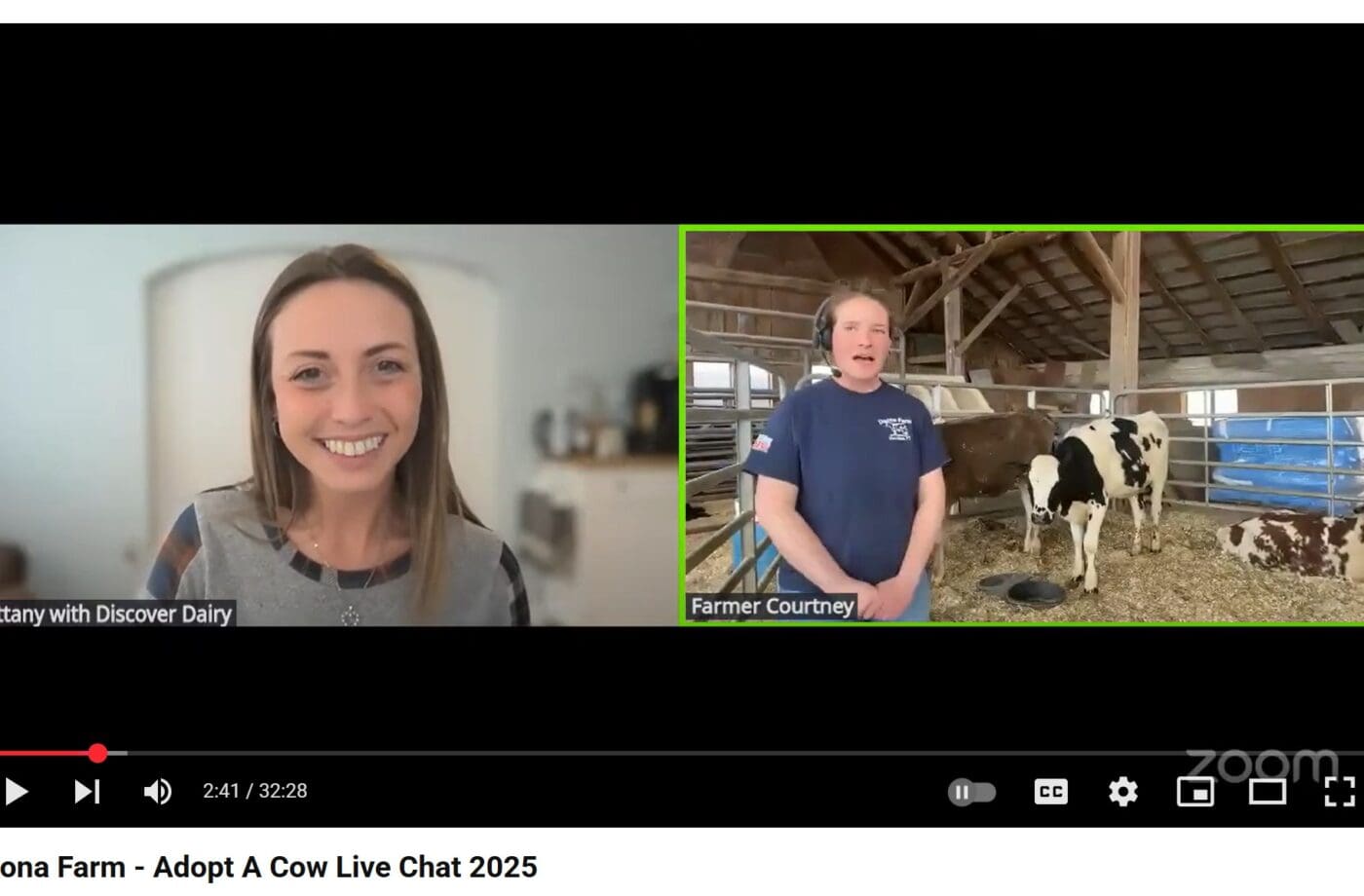dual screen with a woman sitting in front of camera and another woman standing in front of a cow