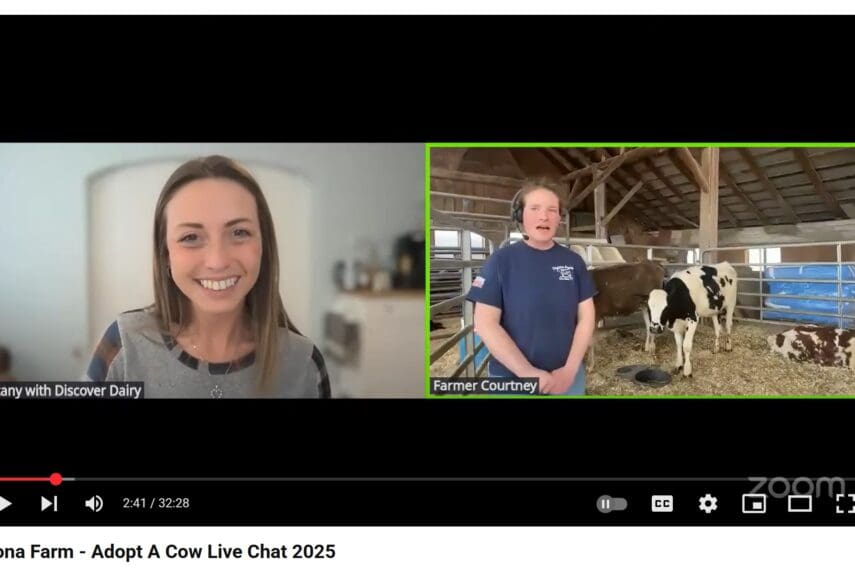 dual screen with a woman sitting in front of camera and another woman standing in front of a cow