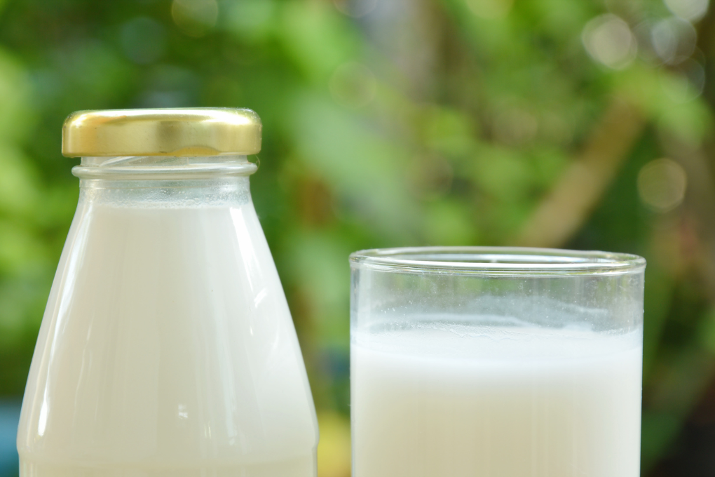 Mountaineer legeplads Sved What is Non-Homogenized Milk? Cream-Top Milk Facts | New England Dairy