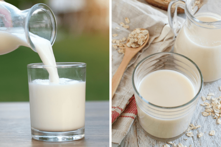 Oat Milk vs. Cow Milk How Do They Compare? New England Dairy