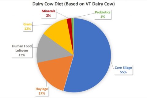 dairy cow diet pie chart