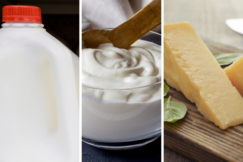 Can You Freeze Dairy Products? Tips on Freezing Dairy New England Dairy