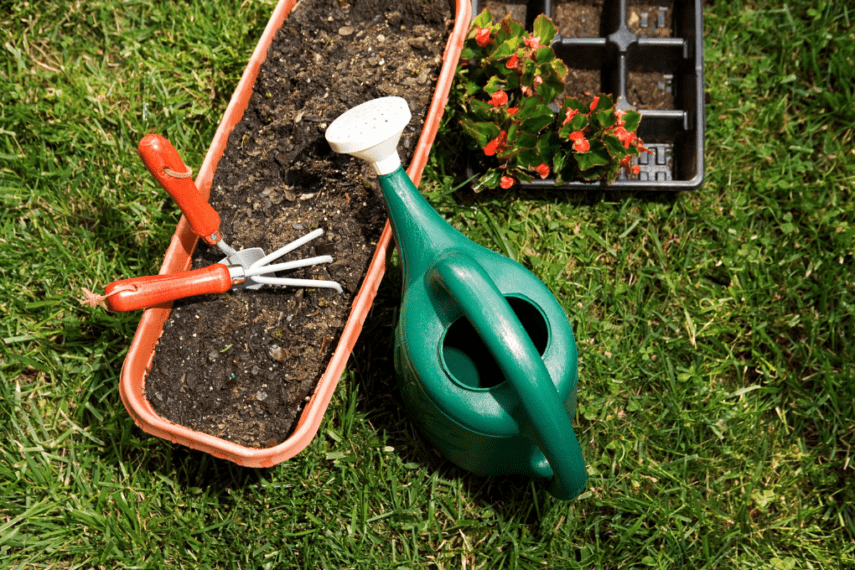 watering can with pot of soil