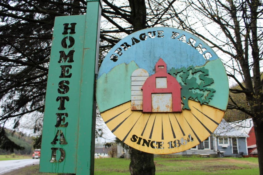 Sprague Ranch New England Dairy