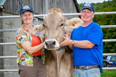 luther farm owner with cow