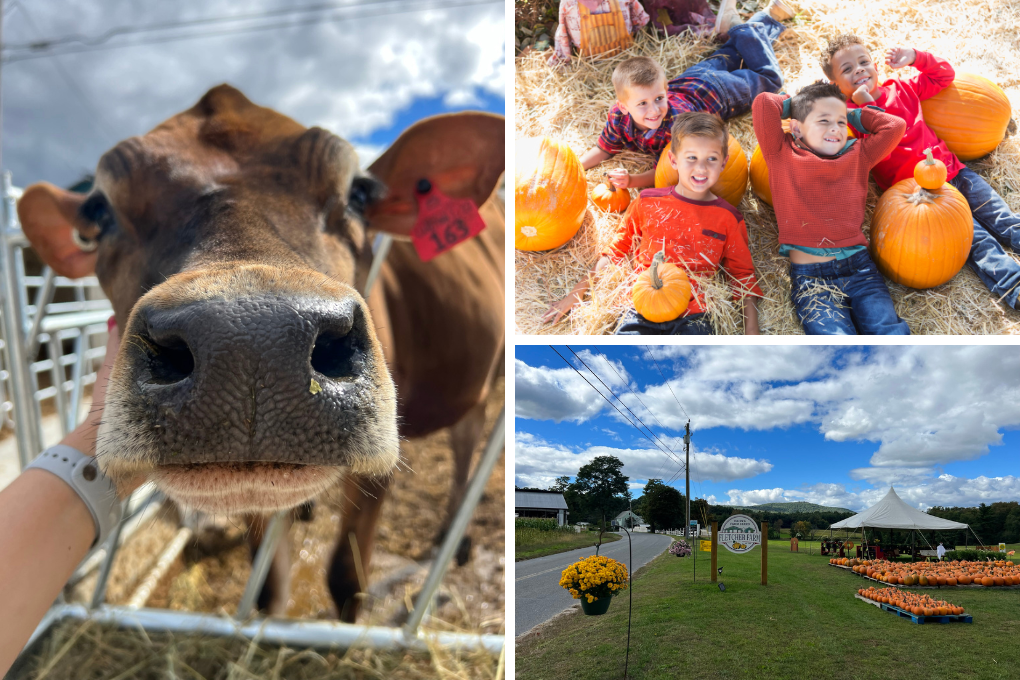 farm visits mid north coast