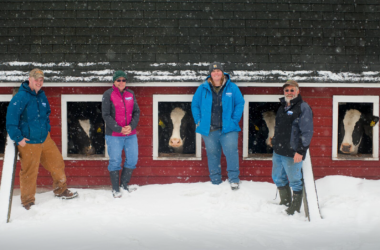 springvale farm family in winter