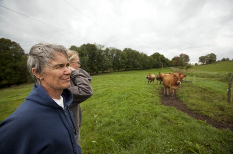 Lin at farm