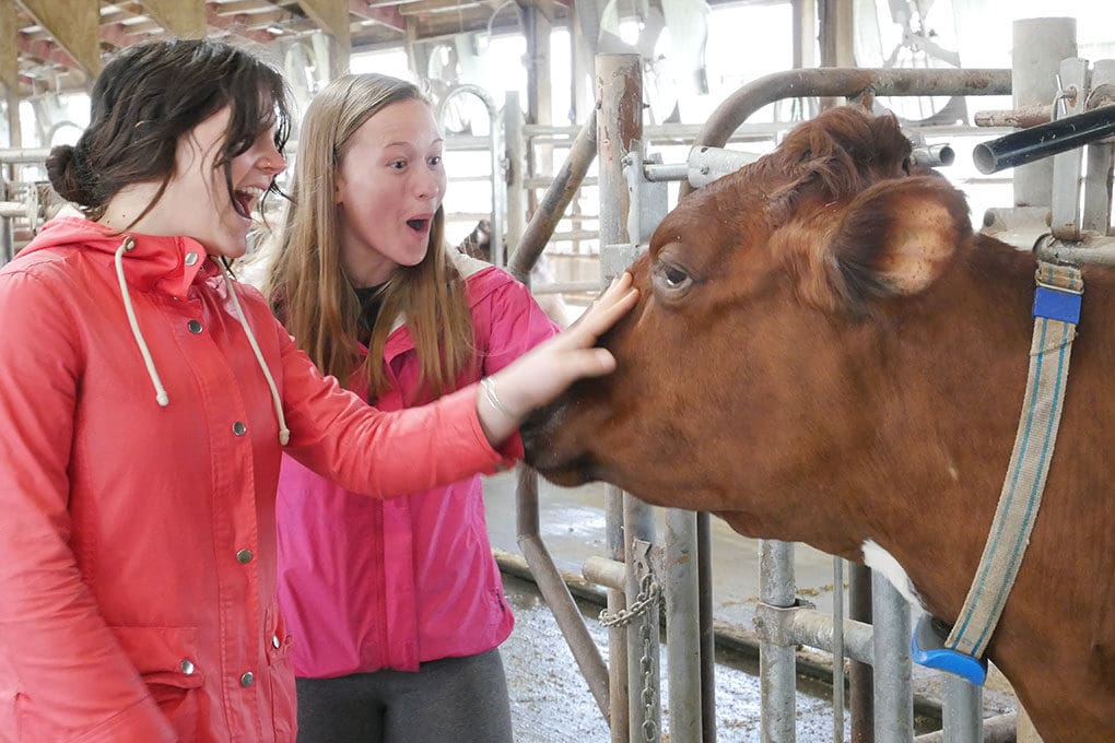 UVM MS Dietetic students