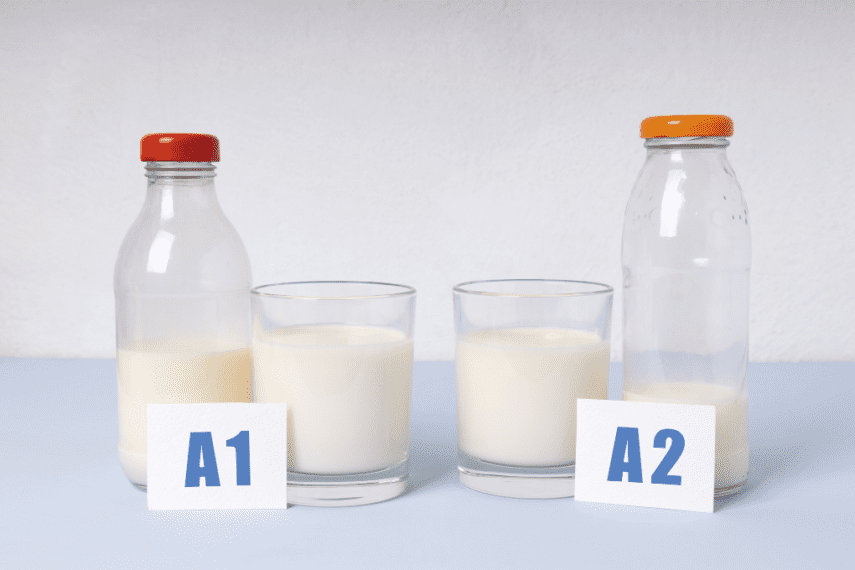 Two glasses of milk on a table, one labeled A1 and the other labeled A2.