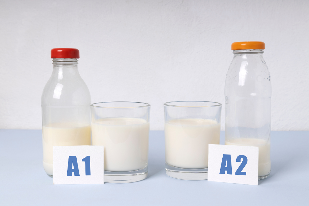 Two glasses of milk on a table, one labeled A1 and the other labeled A2.