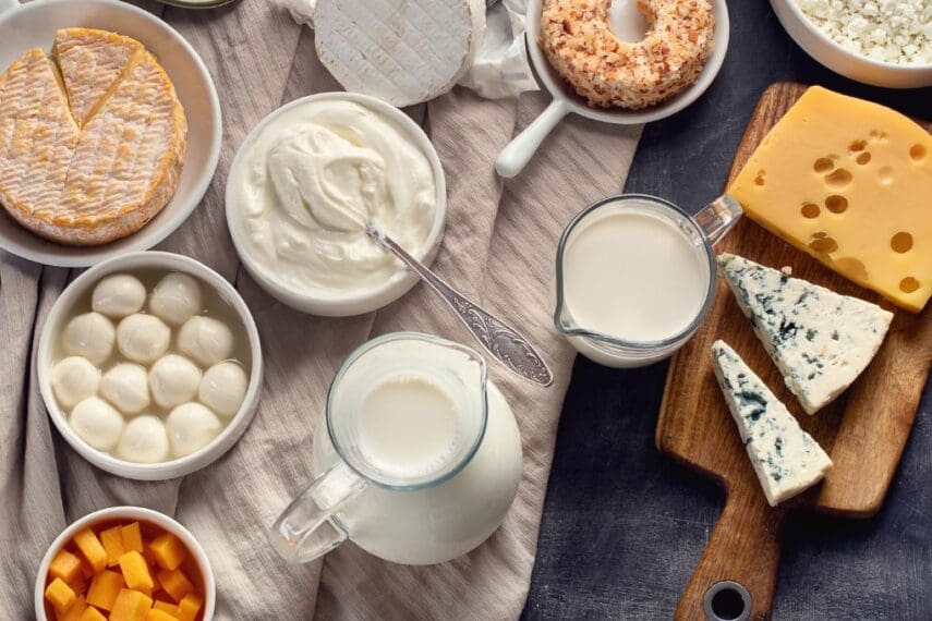 top down spread of various dairy foods