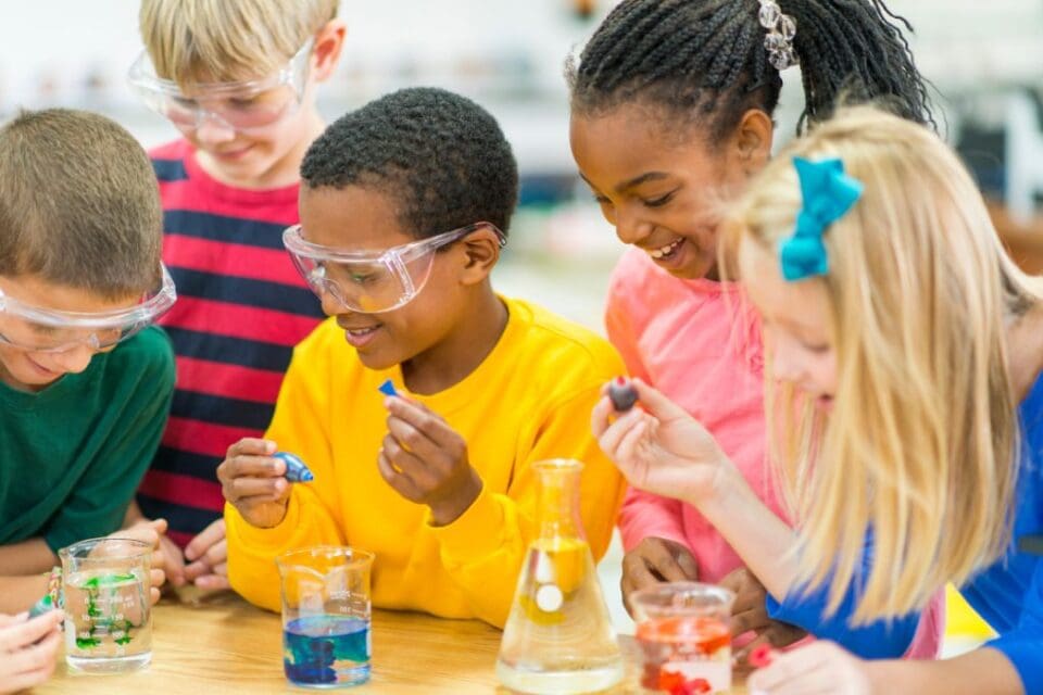 STEM Resources for the Classroom - New England Dairy