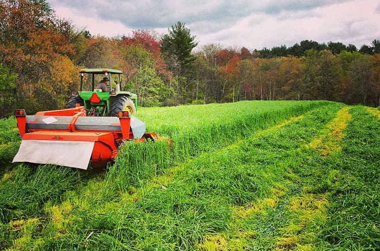 Red tractor harvesting hay