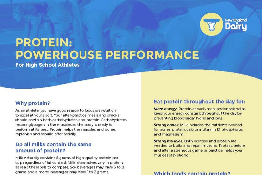 protien powerhouse infographic