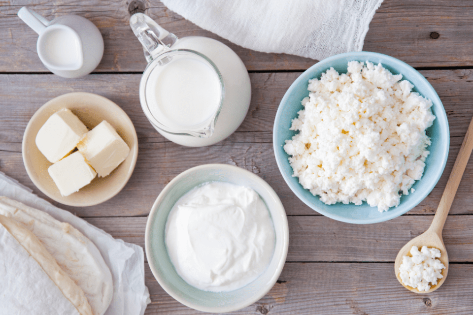 Dairy Allergy vs. Lactose Intolerance New England Dairy