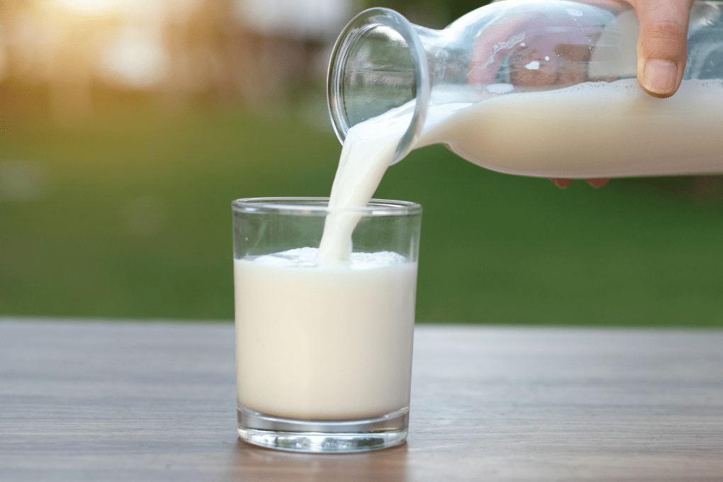 Milk Nutrition, Common Questions & More | New England Dairy