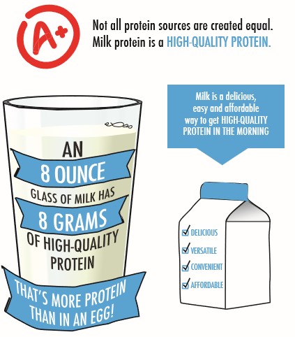 not all protein sources are created equal. Dairy milk protein is a high-quality protein unlike plant-based milks