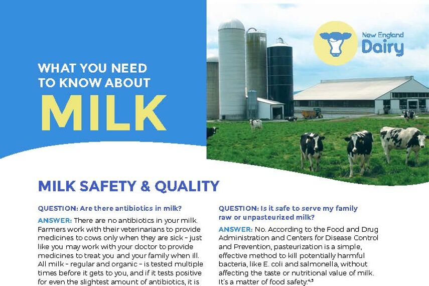 milk safety infographic