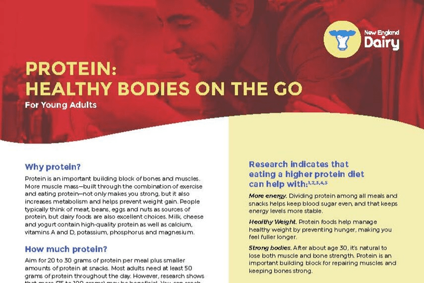 protein infographic